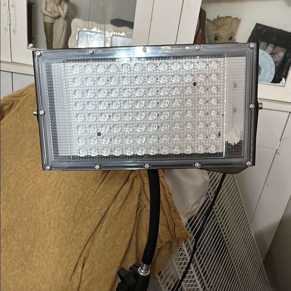 Portable tanning light